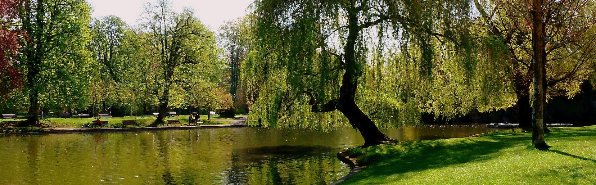 reduction depenses energétiques