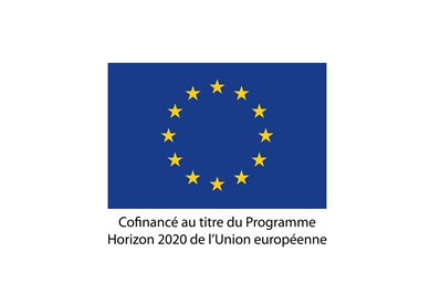 Union Européenne